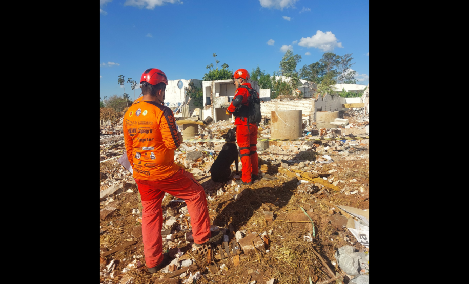 1ª Certificação Nacional de Cães de Busca e Resgate, em Cianorte. Maio de 2024.