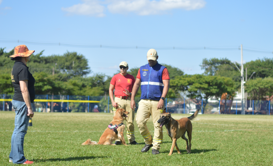 1ª Certificação Nacional de Cães de Busca e Resgate, em Cianorte. Maio de 2024.