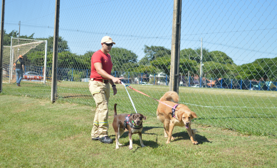 1ª Certificação Nacional de Cães de Busca e Resgate, em Cianorte. Maio de 2024.