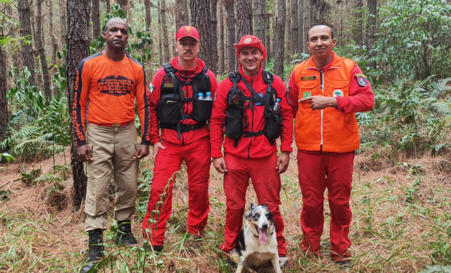 1ª Certificação Nacional de Cães de Busca e Resgate, em Cianorte. Maio de 2024.