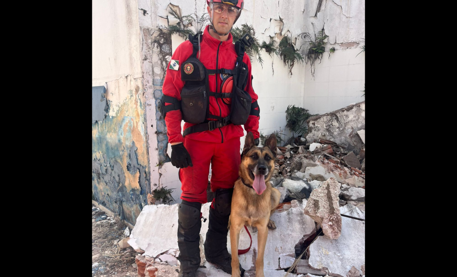 1ª Certificação Nacional de Cães de Busca e Resgate, em Cianorte. Maio de 2024.