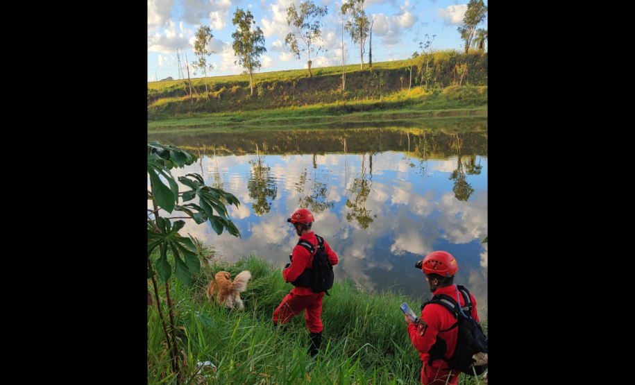 1ª Certificação Nacional de Cães de Busca e Resgate, em Cianorte. Maio de 2024.