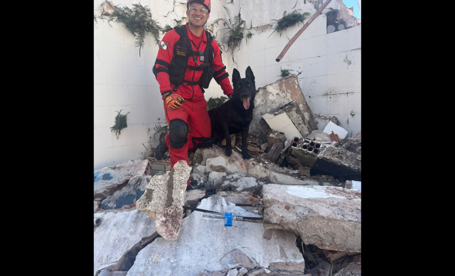 1ª Certificação Nacional de Cães de Busca e Resgate, em Cianorte. Maio de 2024.