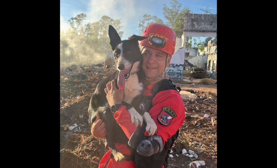 1ª Certificação Nacional de Cães de Busca e Resgate, em Cianorte. Maio de 2024.