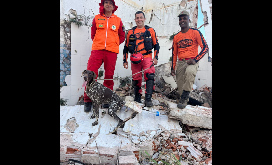 1ª Certificação Nacional de Cães de Busca e Resgate, em Cianorte. Maio de 2024.