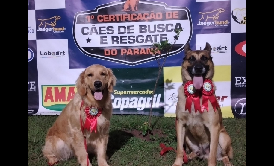 1ª Certificação Nacional de Cães de Busca e Resgate, em Cianorte. Maio de 2024.