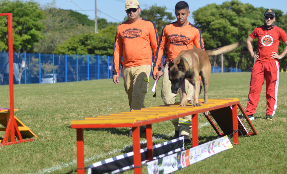 1ª Certificação Nacional de Cães de Busca e Resgate, em Cianorte. Maio de 2024.