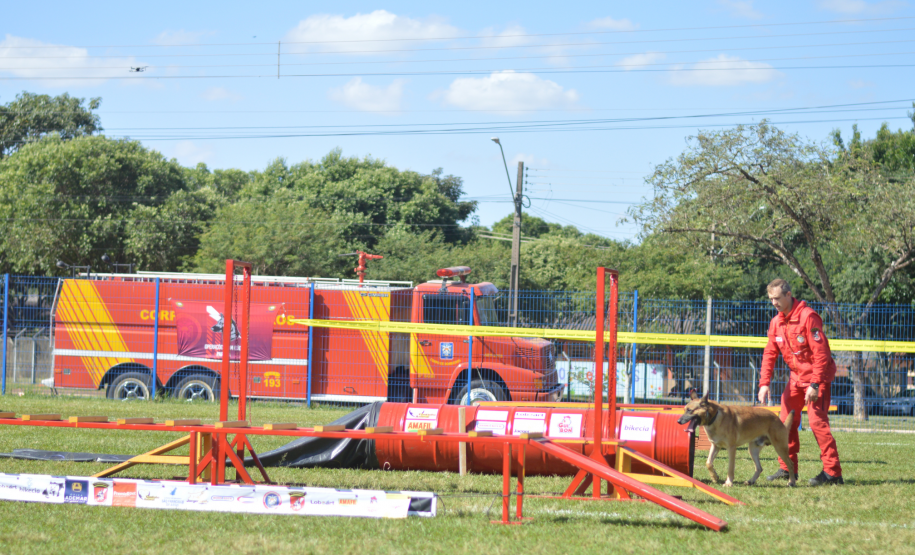 1ª Certificação Nacional de Cães de Busca e Resgate, em Cianorte. Maio de 2024.