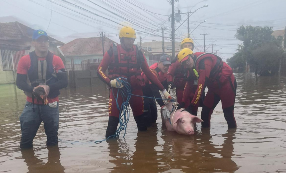 Bombeiros do Paraná em ação no RS em 2024.