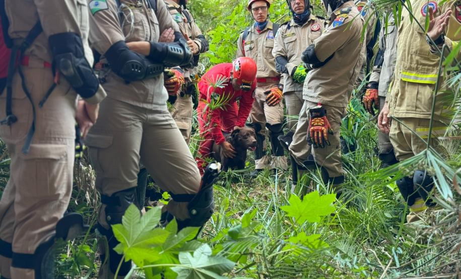 Curso de resposta a desastres preparou equipe do CBMPR para atuar no RS.