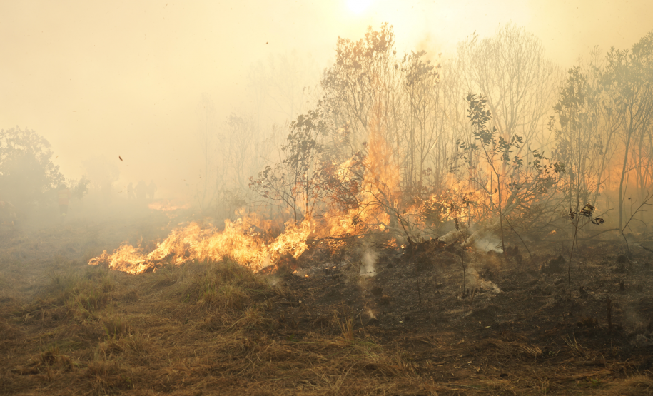Corpo de Bombeiros Militar do Paraná em ação.