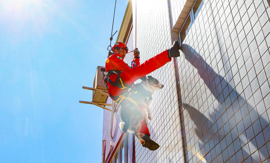 Equipe do GOST, do Corpo de Bombeiros Militar do Paraná.