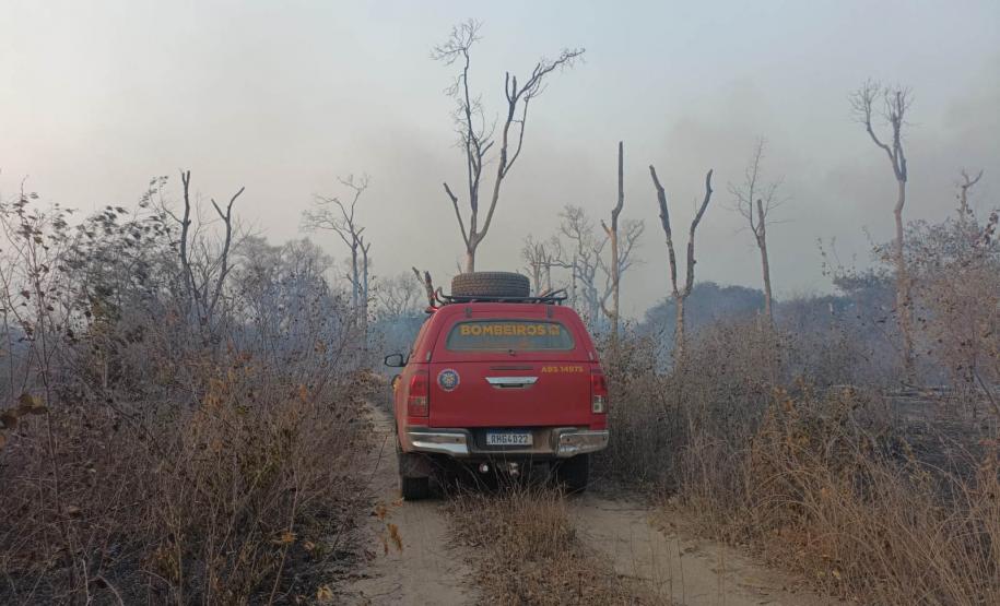 Bombeiros do Paraná trabalham no Pantanal - 2024.