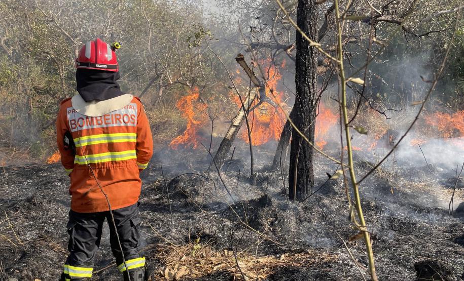 Bombeiros do Paraná trabalham no Pantanal - 2024.