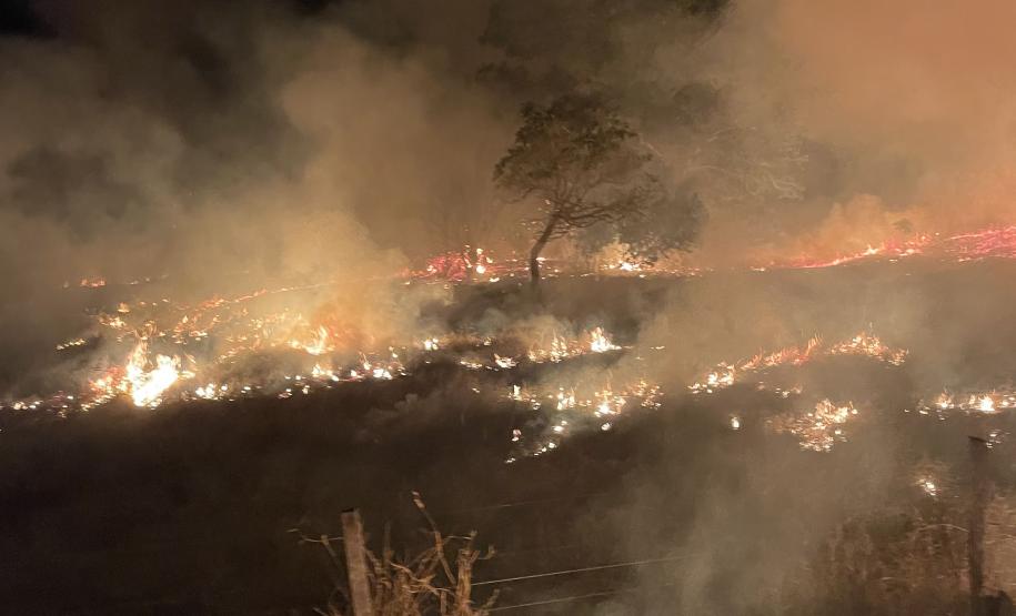 Bombeiros do Paraná trabalham no Pantanal - 2024.