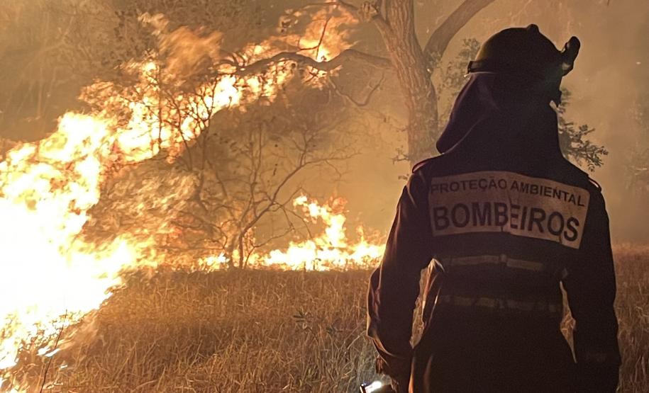 Bombeiros do Paraná trabalham no Pantanal - 2024.