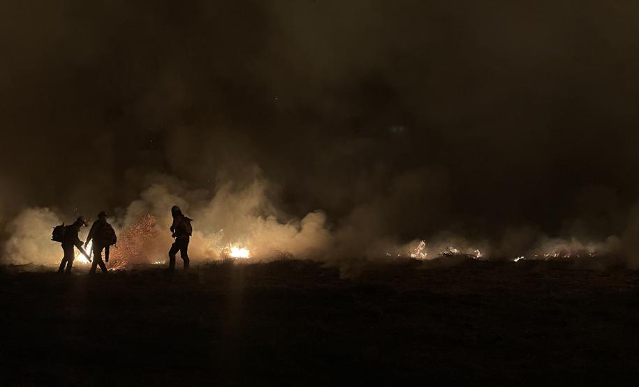 Bombeiros do Paraná trabalham no Pantanal - 2024.