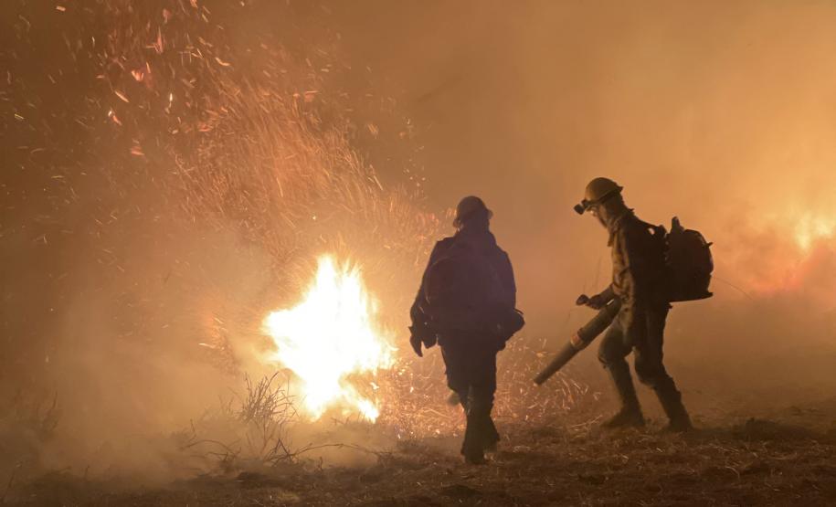 Bombeiros do Paraná trabalham no Pantanal - 2024.