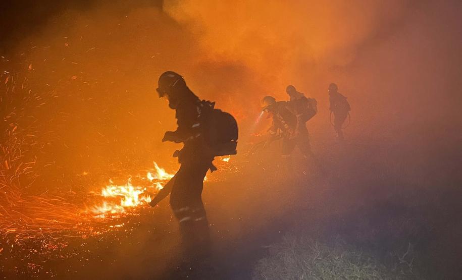 Bombeiros do Paraná trabalham no Pantanal - 2024.