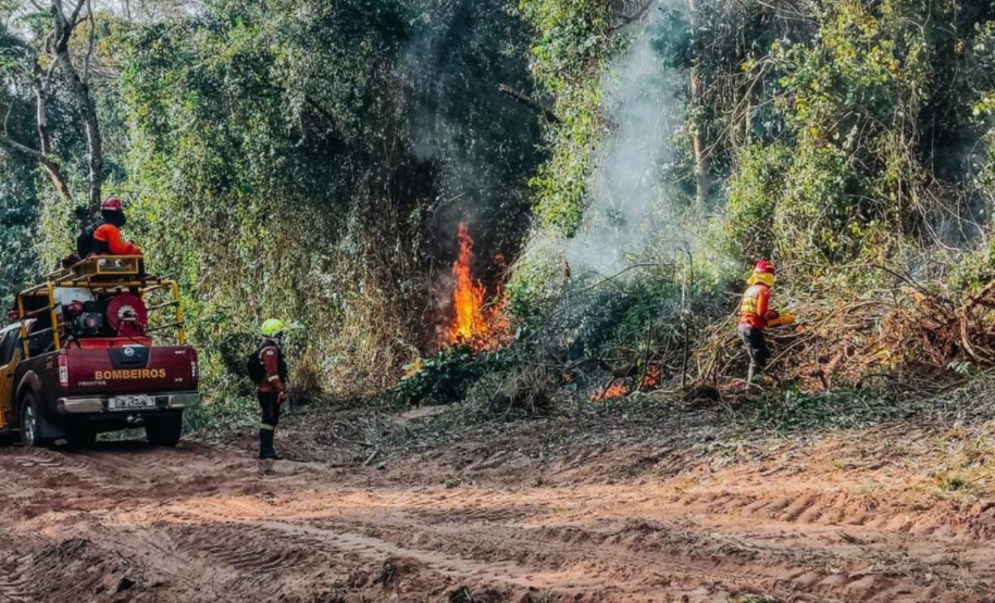 Bombeiros do Paraná em ação durante os incêndios florestais em agosto de 2024.