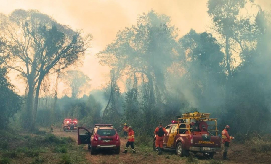 Bombeiros do Paraná em ação durante os incêndios florestais em agosto de 2024.