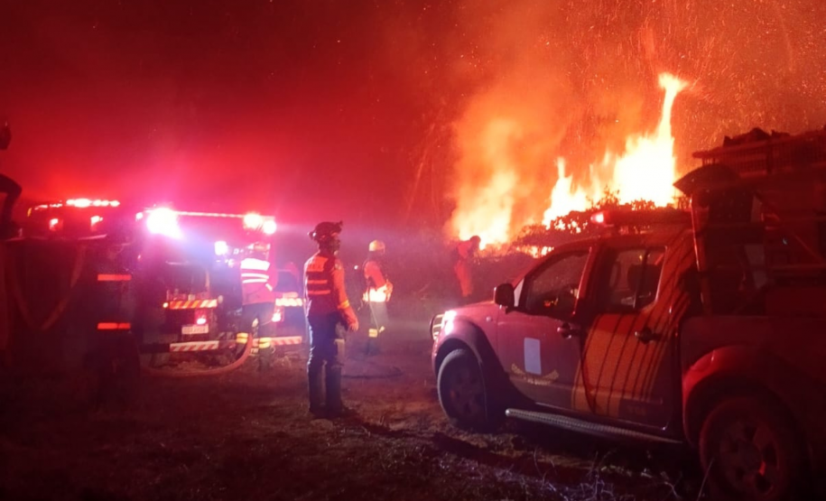 Bombeiros do Paraná em ação durante os incêndios florestais em agosto de 2024.
