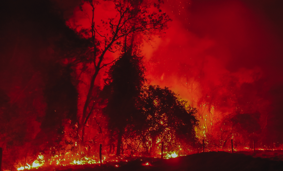 Bombeiros do Paraná em ação durante os incêndios florestais em agosto de 2024.