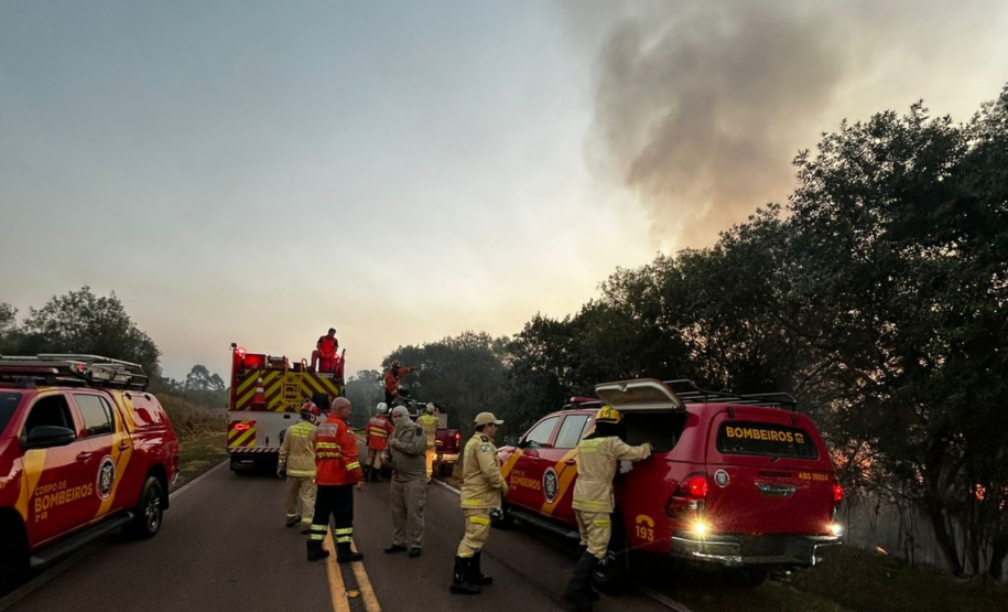 Bombeiros do Paraná em ação durante os incêndios florestais em agosto de 2024.