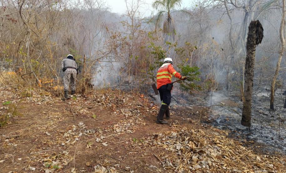 Bombeiros do Paraná trabalham no Pantanal - 2024.