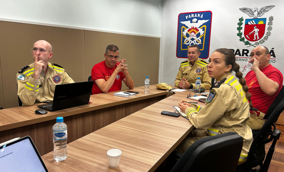 Reunião virtual sobre prevenção e combate a incêndios florestais (24/09/2024).