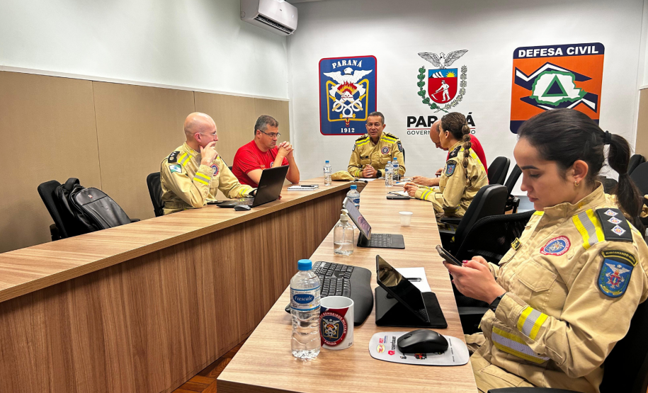 Reunião virtual sobre prevenção e combate a incêndios florestais (24/09/2024).
