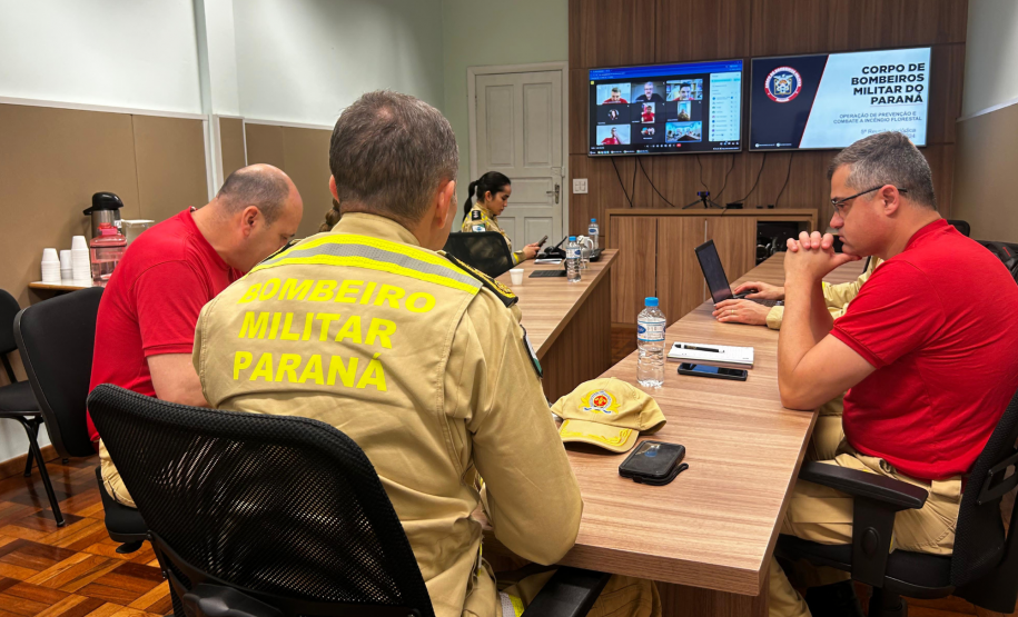 Reunião virtual sobre prevenção e combate a incêndios florestais (24/09/2024).