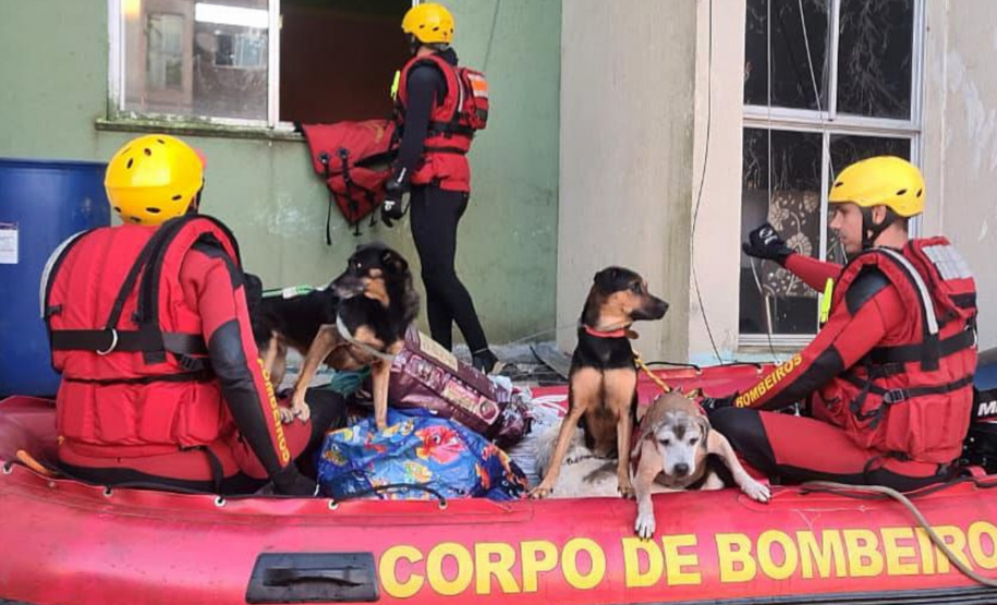 Força-Tarefa do Corpo de Bombeiros Militar do Paraná.
