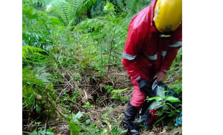 Dois jovens que haviam se perdido em uma trilha em Campina Grande do Sul foram encontrados pelo CBMPR.