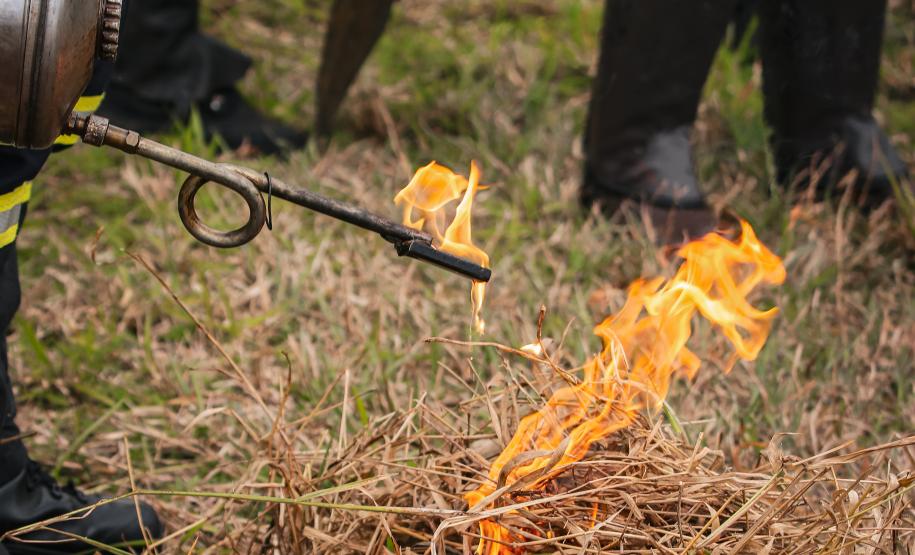 Workshop de Combate a Incêndios Florestais - 4ª NAR