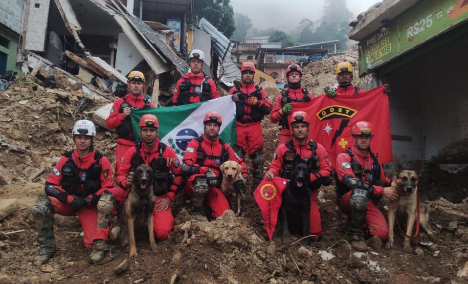 Como são selecionados os cães do GOST 9