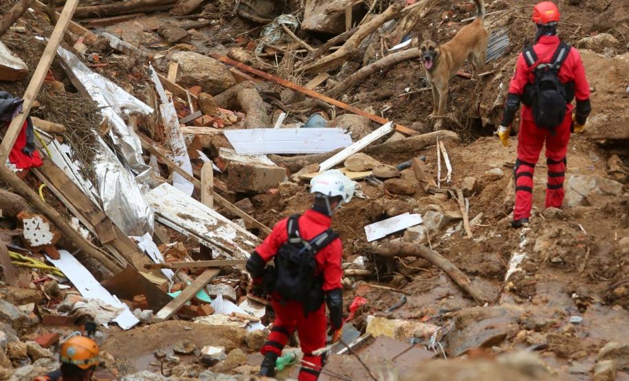 Como são selecionados os cães do GOST 7
