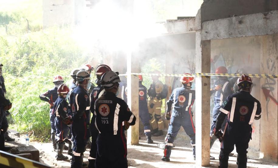 Treinamento reforça papel estratégico dos cães dos Bombeiros em resgates