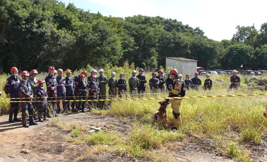 Treinamento reforça papel estratégico dos cães dos Bombeiros em resgates
