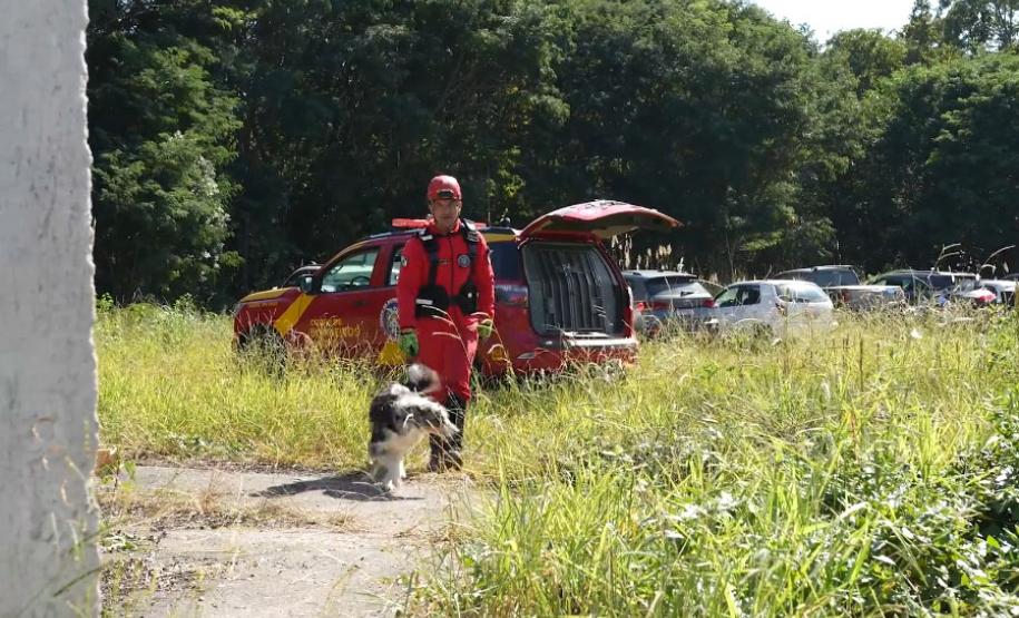 Treinamento reforça papel estratégico dos cães dos Bombeiros em resgates