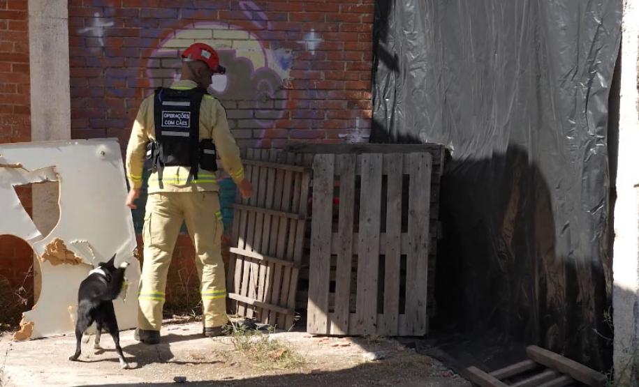 Treinamento reforça papel estratégico dos cães dos Bombeiros em resgates